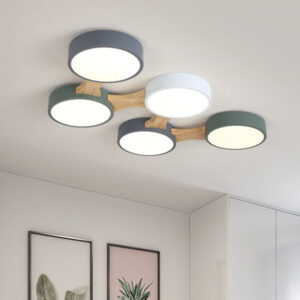 Simple Nordic Led Ceiling Lamp